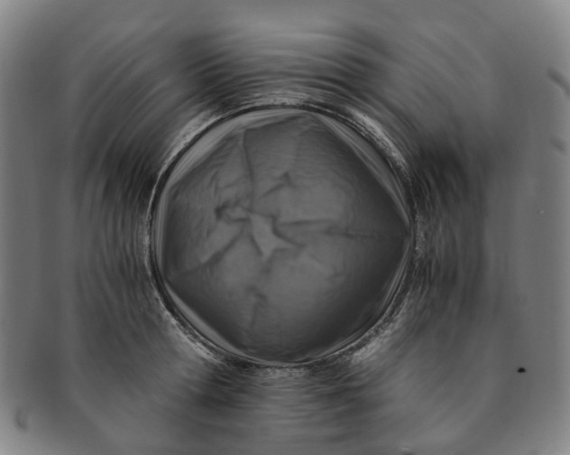 X0000091010802200708241511