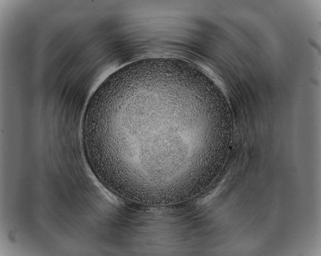 X0000091010803200708241511