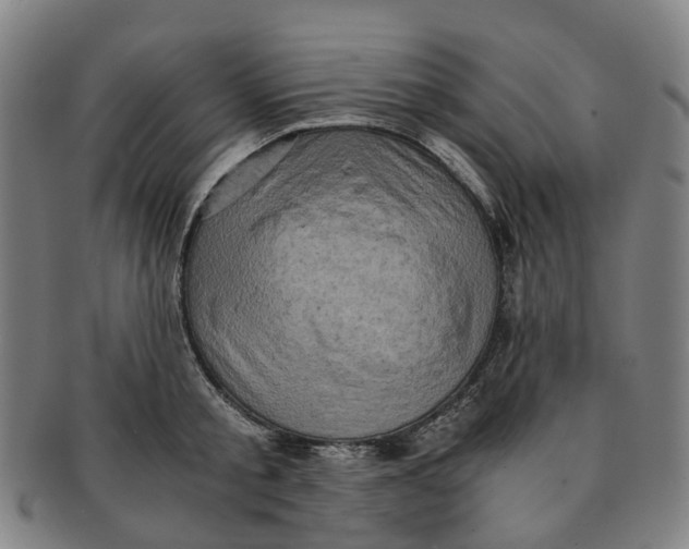 X0000091010805200708241511