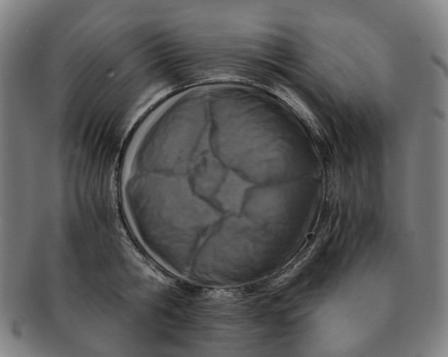 X0000091010806200708241511