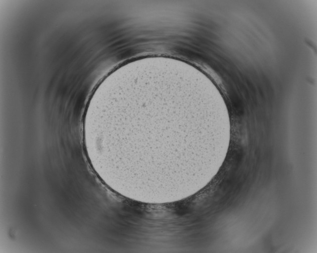 X0000091010807200708241511