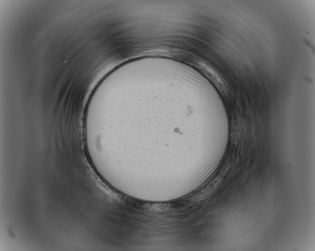 X0000091010808200708241511