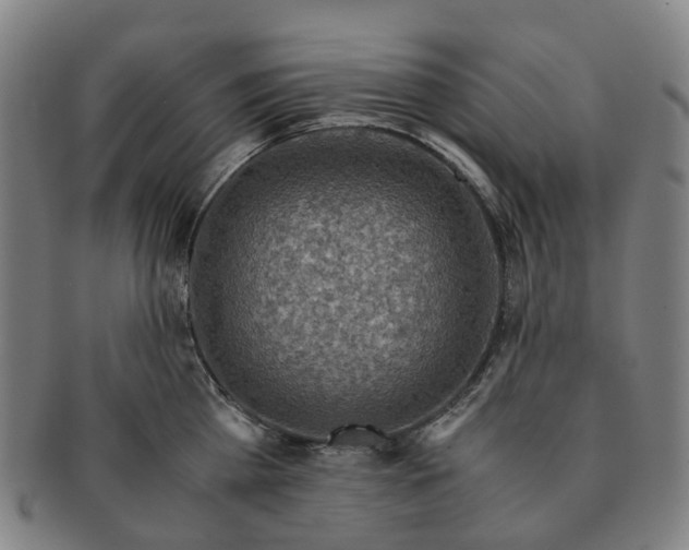 X0000091010809200708241511