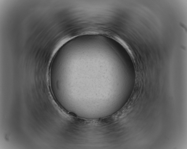 X0000091010811200708241511