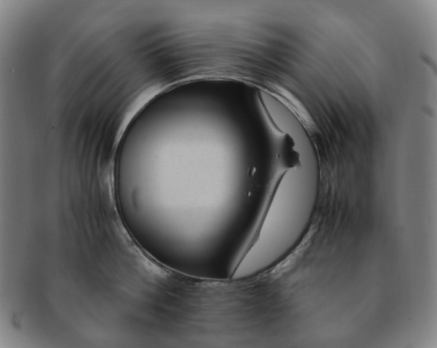 X0000091010812200708241511