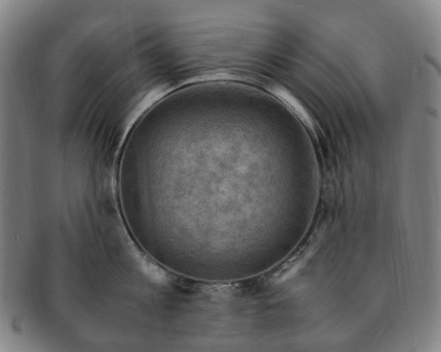 X0000091010813200708241511