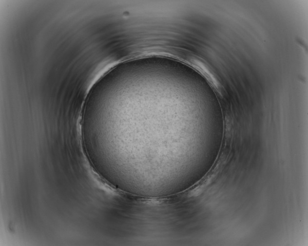 X0000091010814200708241511