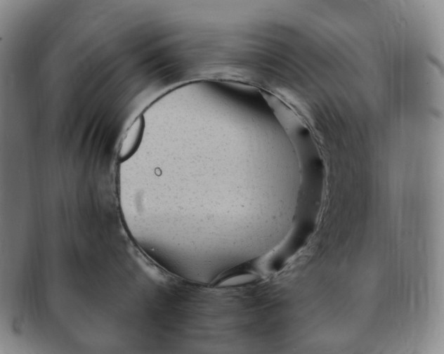 X0000091010816200708241511