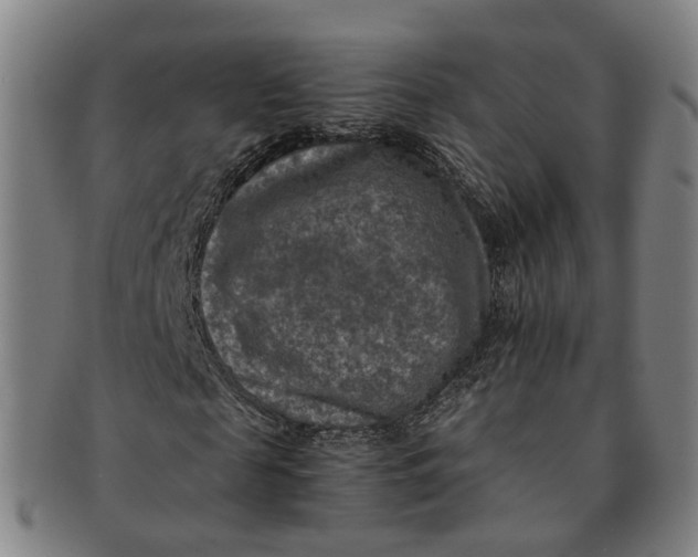 X0000091010817200708241510