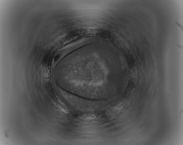 X0000091010818200708241510