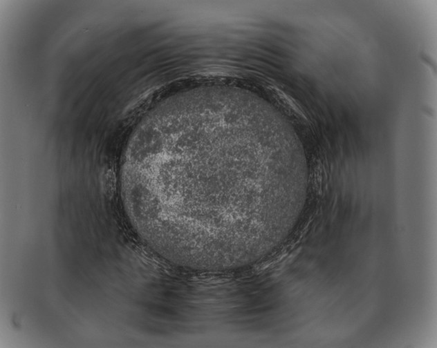 X0000091010821200708241510