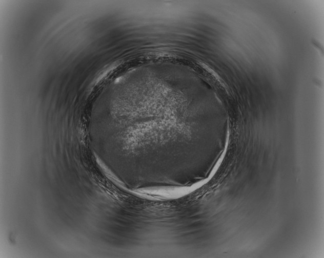 X0000091010823200708241510