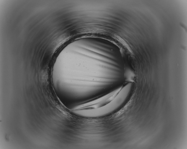 X0000091010826200708241510