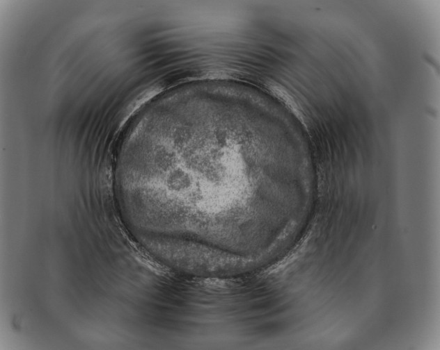 X0000091010827200708241510