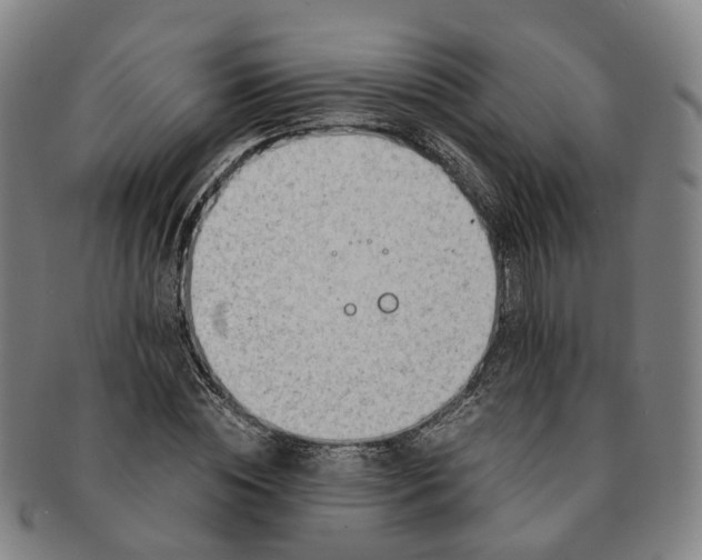 X0000091010828200708241510