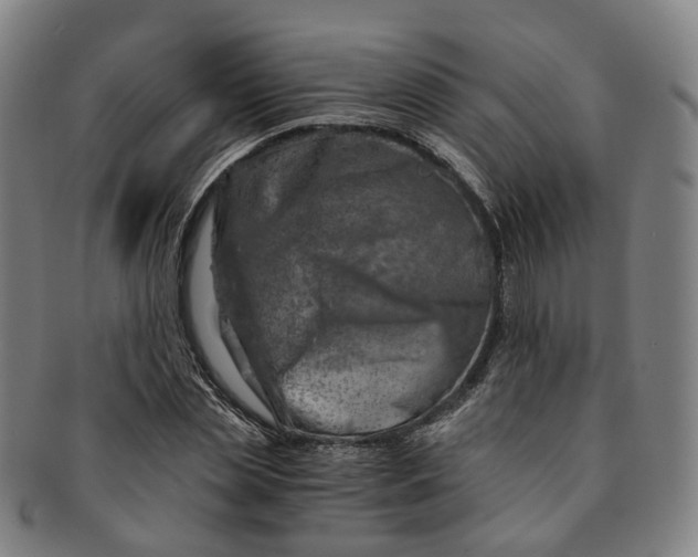 X0000091010829200708241510