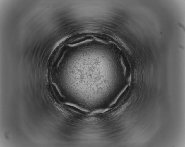 X0000091010830200708241510