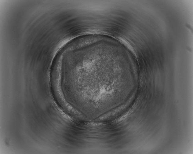 X0000091010831200708241510