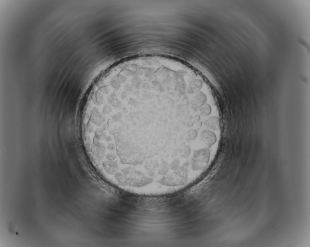 X0000091010832200708241510