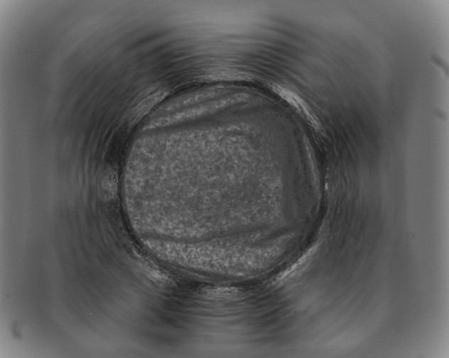 X0000091010833200708241510