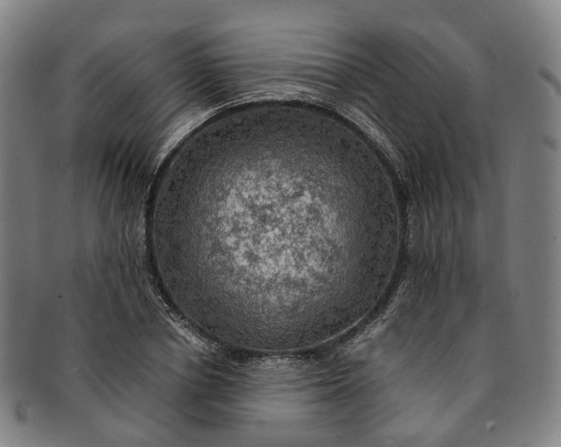 X0000091010834200708241510