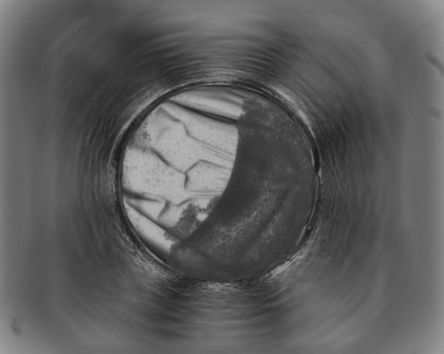 X0000091010835200708241510