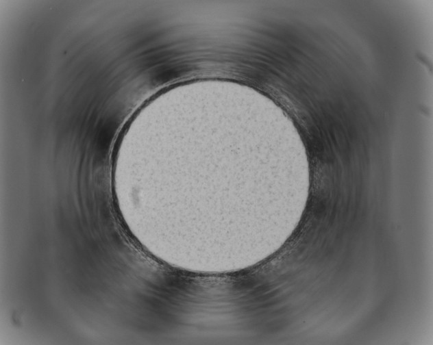 X0000091010836200708241510