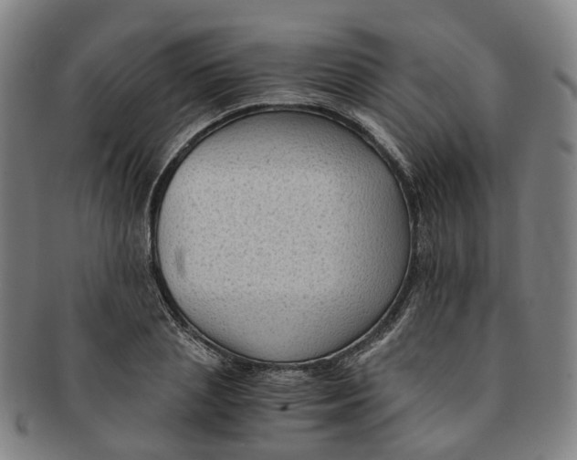 X0000091010837200708241510