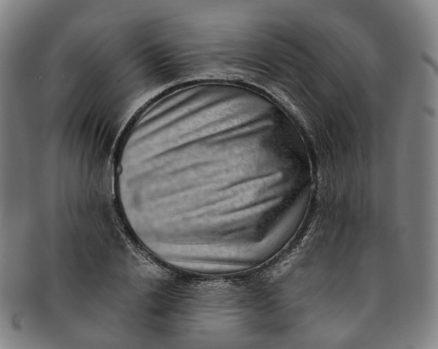 X0000091010838200708241510