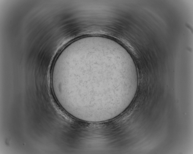 X0000091010840200708241510