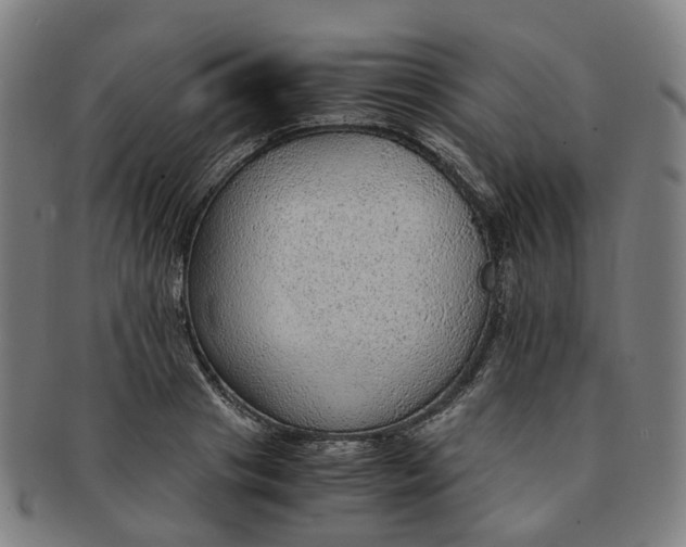 X0000091010841200708241510