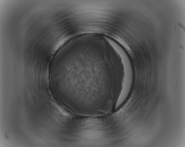 X0000091010842200708241510