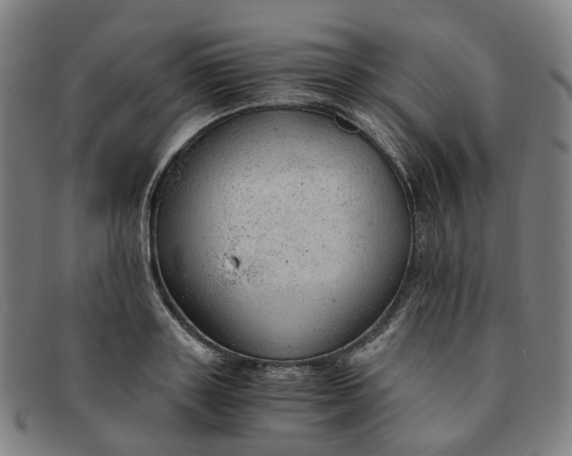 X0000091010843200708241510