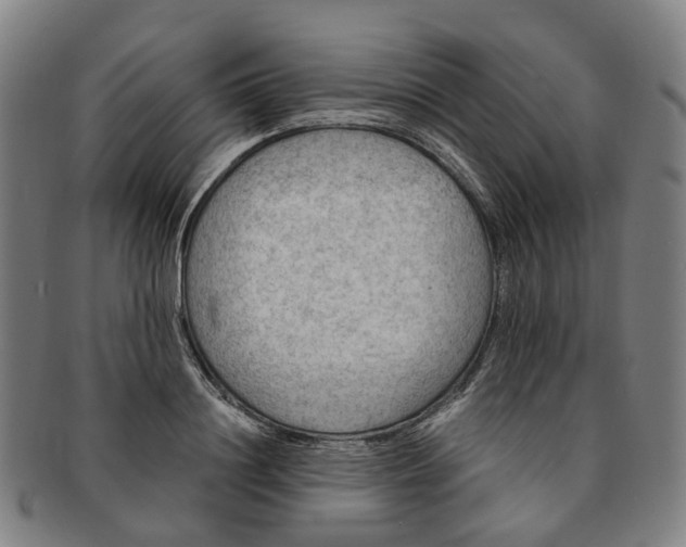 X0000091010844200708241510