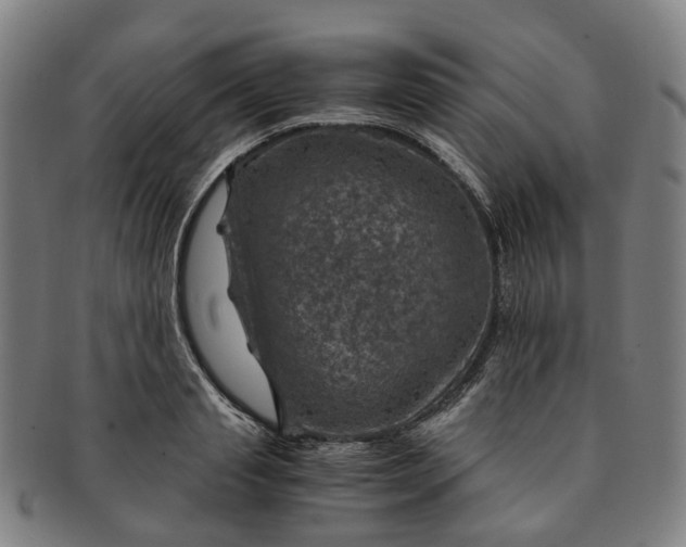 X0000091010845200708241510