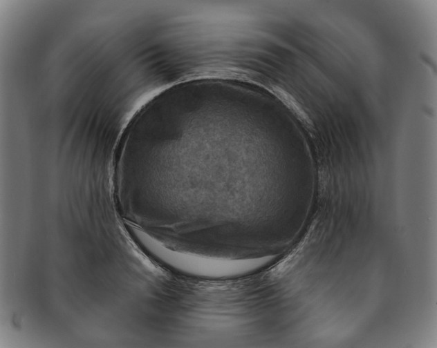 X0000091010846200708241510