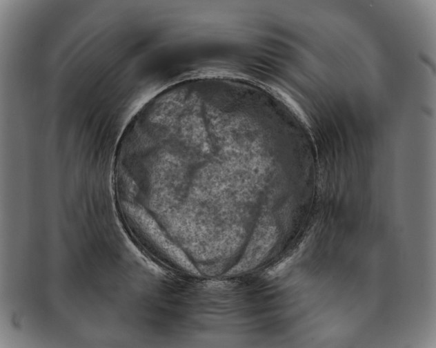 X0000091010847200708241510