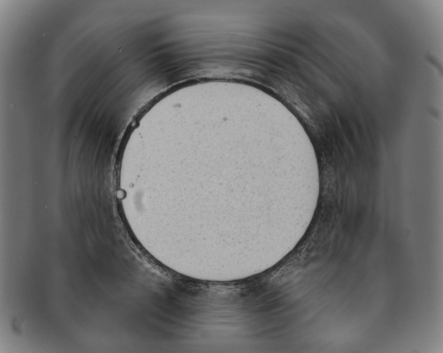 X0000091010848200708241510