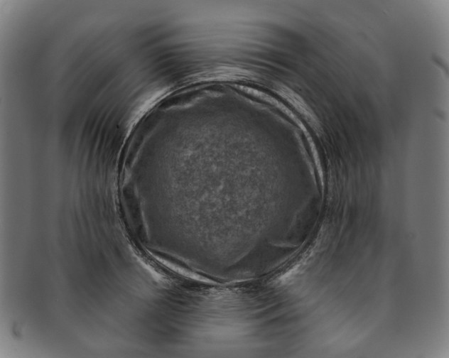 X0000091010850200708241510