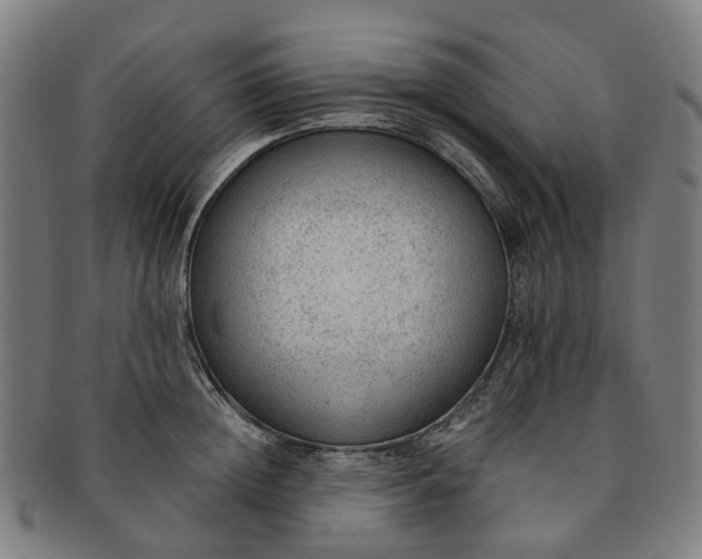 X0000091010852200708241510