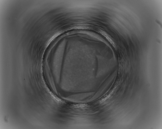 X0000091010853200708241510