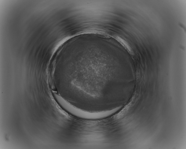 X0000091010854200708241510