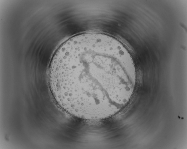 X0000091010856200708241510