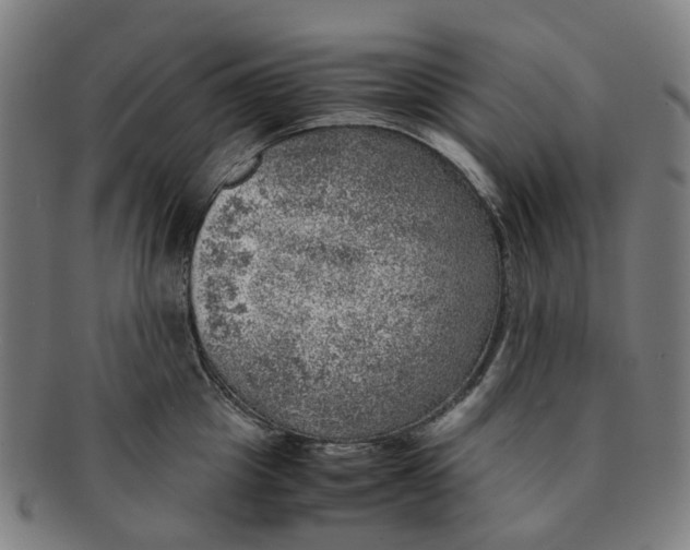 X0000091010857200708241510