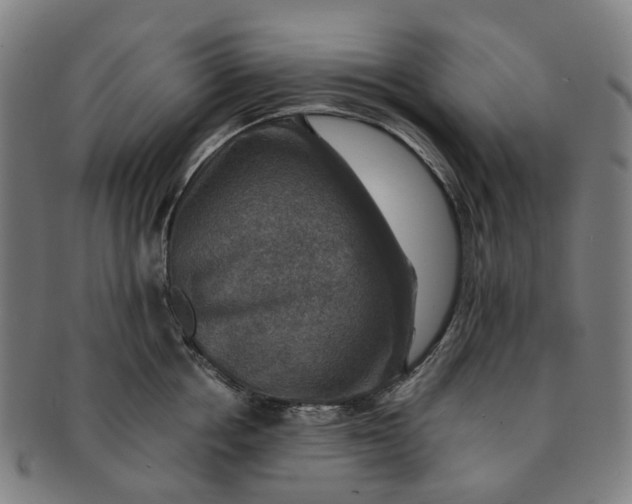 X0000091010858200708241510