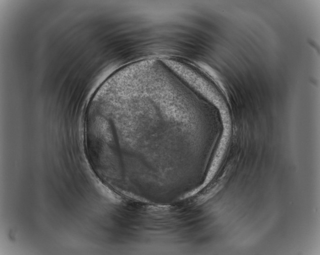 X0000091010859200708241510