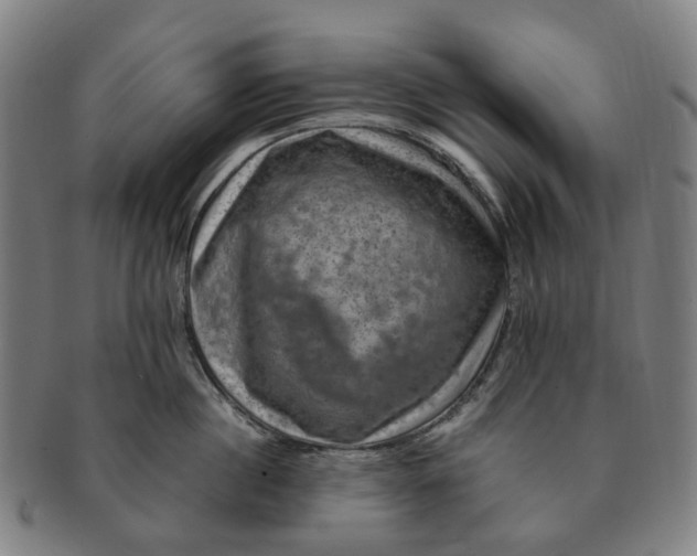 X0000091010860200708241510