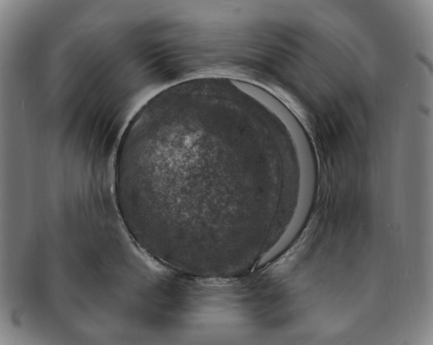 X0000091010862200708241511