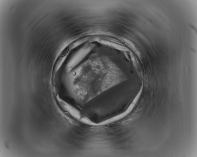 X0000091010863200708241511