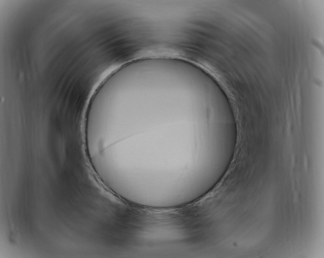 X0000091010864200708241511